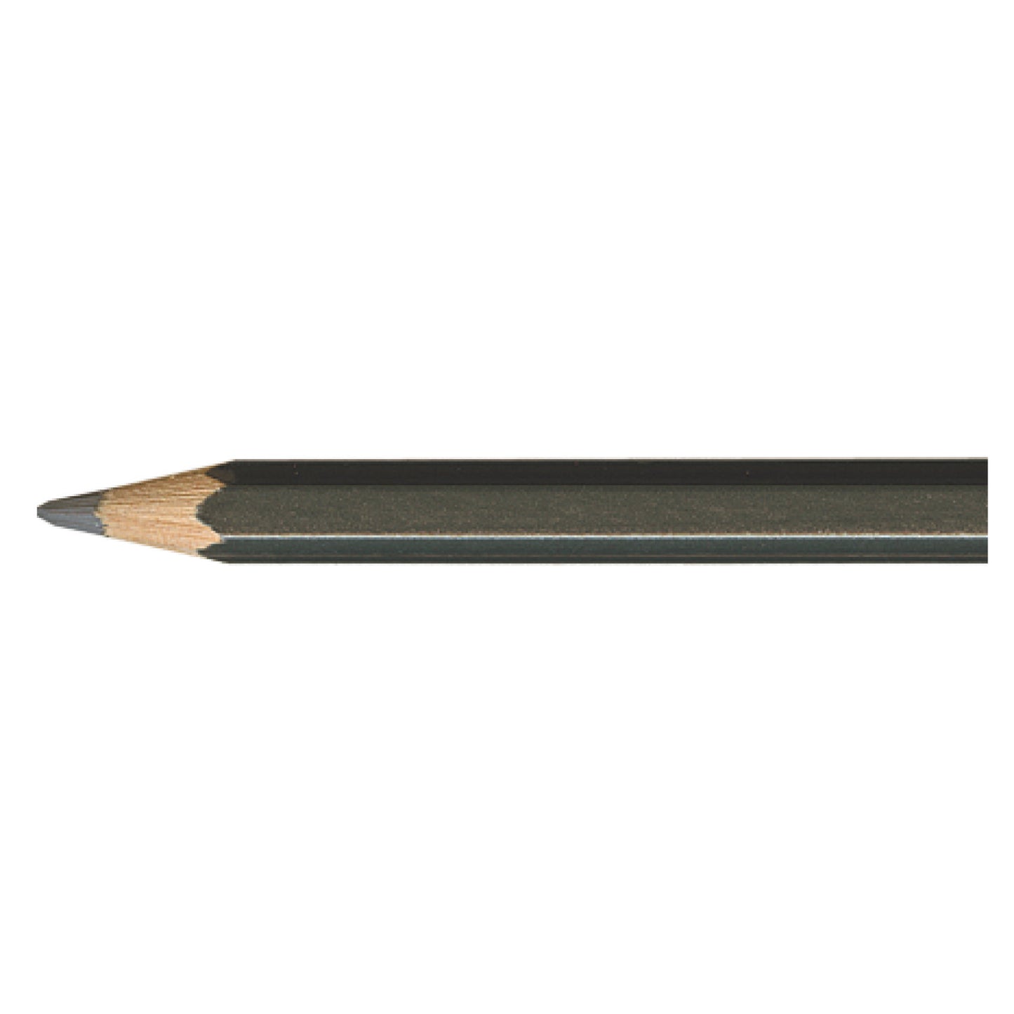 Pablo SLATE GREY 495 Kleurpotlood Caran d'Ache
