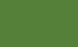 Luminance MOSS GREEN 225 Kleurpotlood Caran d'ache