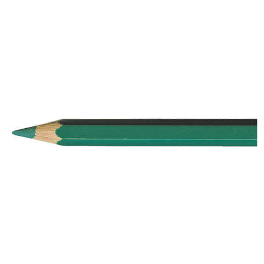 Supracolor BLUISH GREEN 200 Aquarelpotlood Caran d'Ache