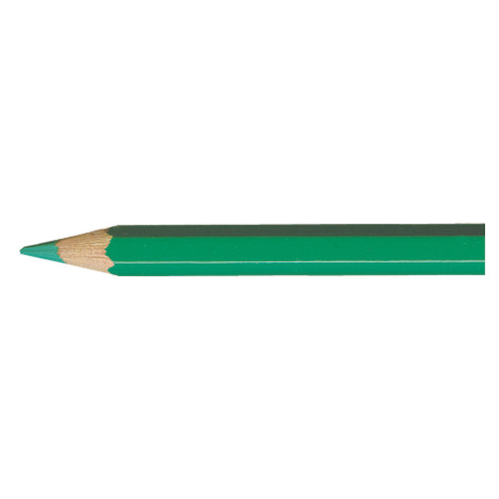 Supracolor VERONESE GREEN 201 Aquarelpotlood Caran d'Ache