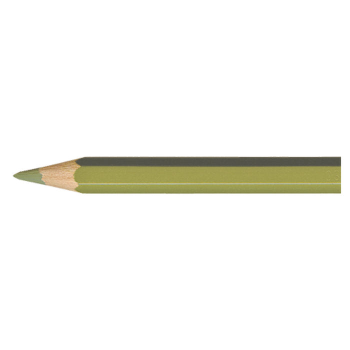 Supracolor OLIVE 249 Aquarelpotlood Caran d'Ache