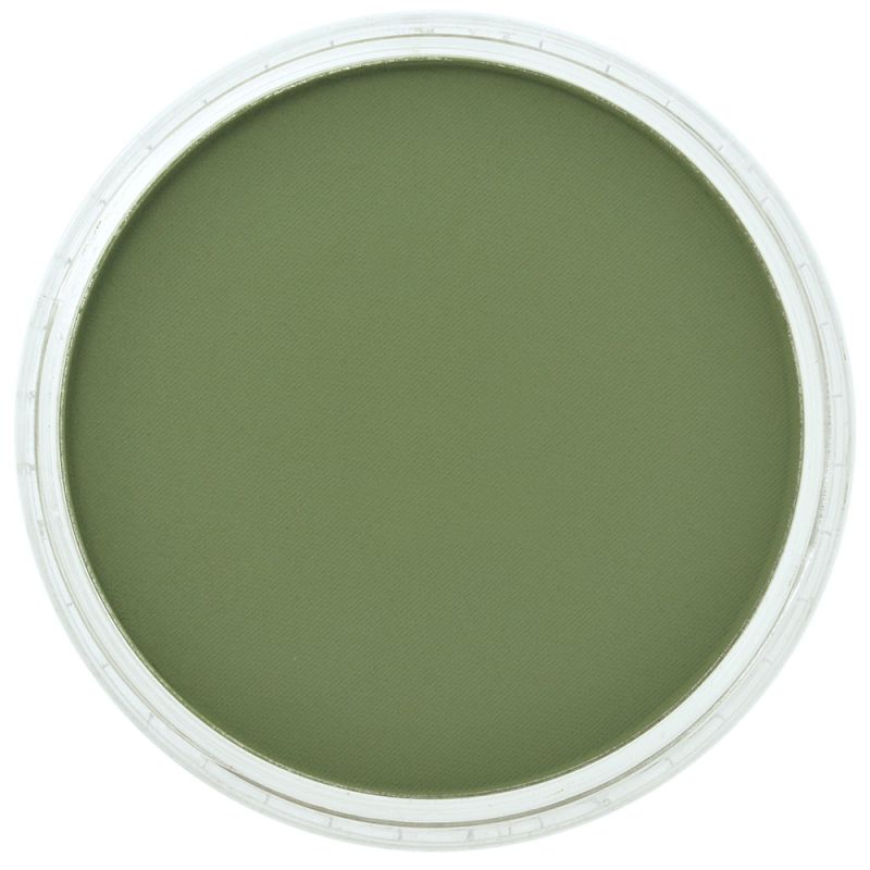 Chromium Oxide Green Shade 660.3 PanPastel doosje 9ml