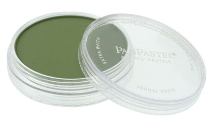 Chromium Oxide Green Shade 660.3 PanPastel doosje 9ml