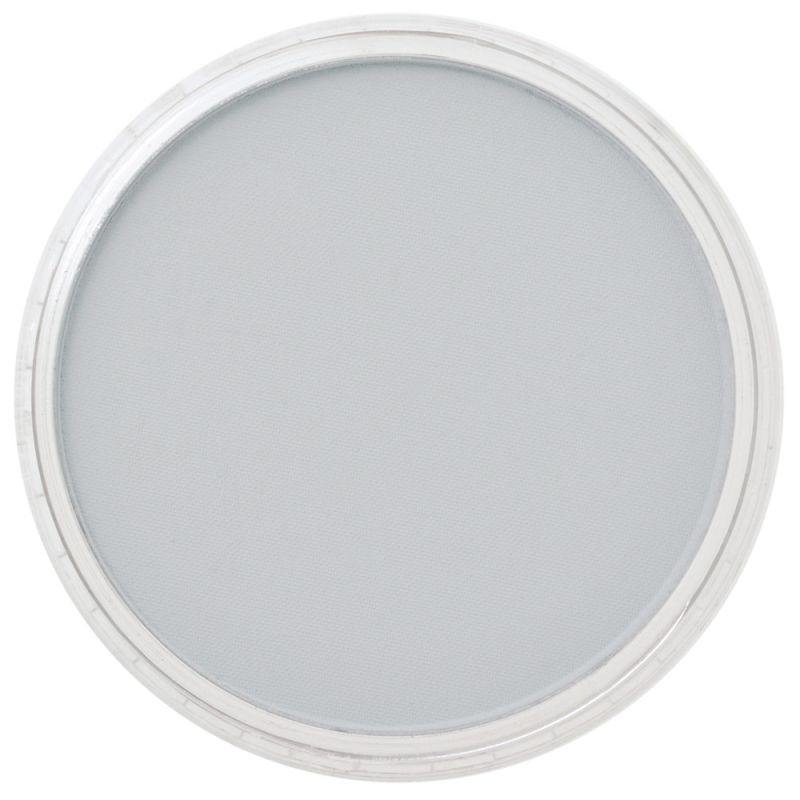 Paynes Grey Tint 1 840.7 PanPastel doosje 9ml