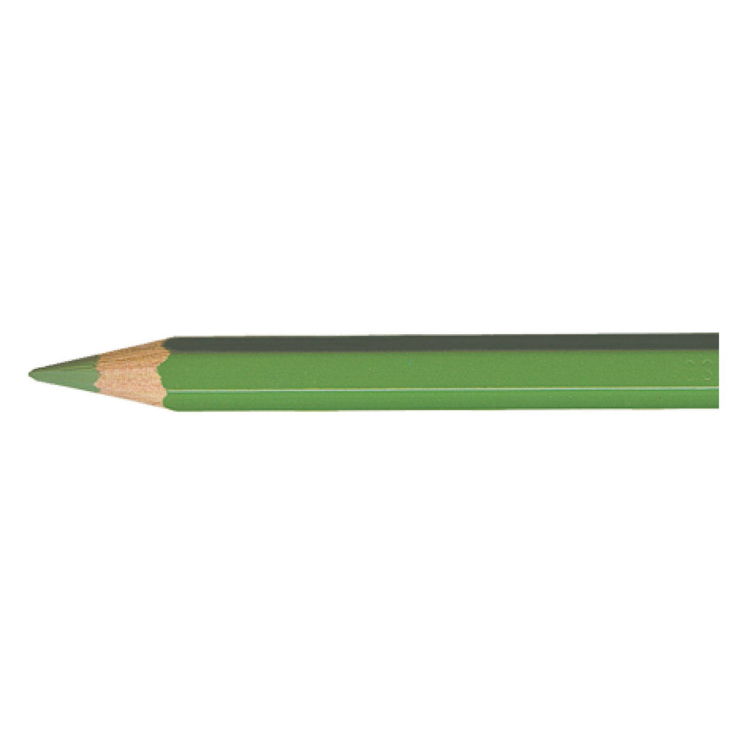 Pablo MOSS GREEN  225 Kleurpotlood Caran d'Ache