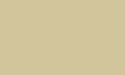 Luminance RAW UMBER 10% 842 Kleurpotlood Caran d'ache