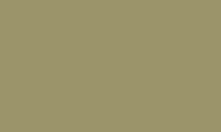 Luminance RAW UMBER 50% 846 Kleurpotlood Caran d'ache