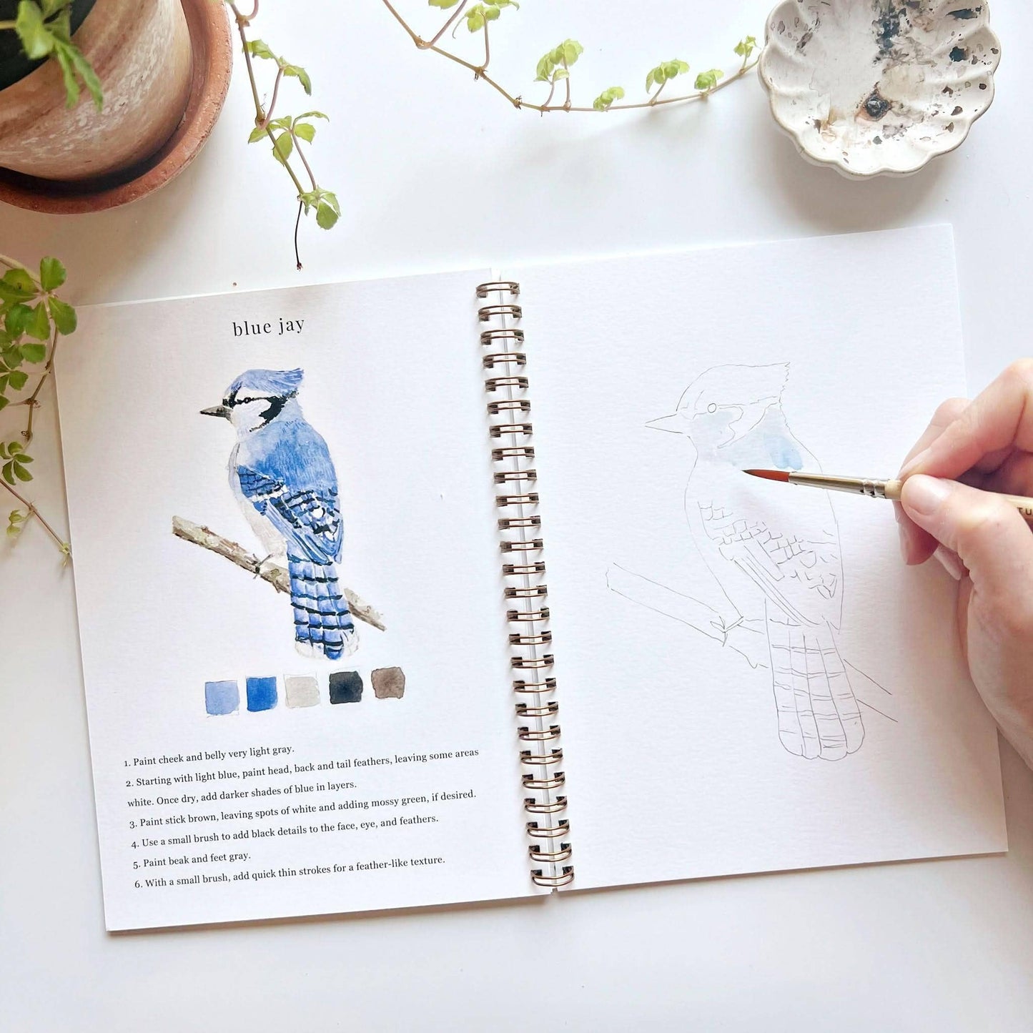 Aquarelverf werkboek - Vogels - emily lex studio watercolor workbook