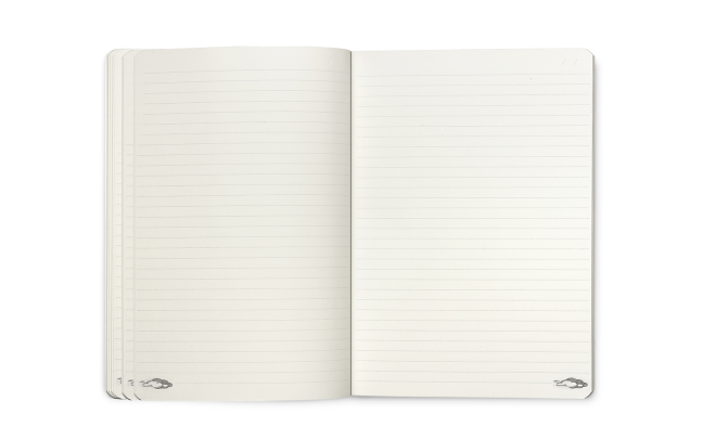 Limited Edition Notitieboek A5 Caran D'ache Toile de Jouy