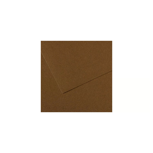 10 vel 160 grs Mi-Teintes gekleurd papier, no 501 Donker Bruin 50x65cm