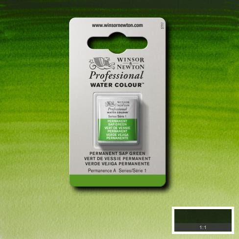 Permanent Sap Green napje  503 S1 Artist's Aquarel Winsor & Newton